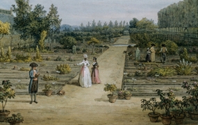 Antoine-Laurent de Jussieu (1748-1836) fabrique d'une science botanique
