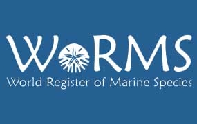 Top ten de WoRMS 2021 : 2 espèces remarquables décrites dans les journaux du MNHN