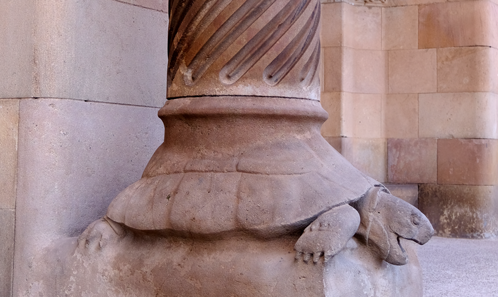 Polyphonies temporelles des humains et des tortues : une approche anthropologique du massif des Albères (Catalogne)