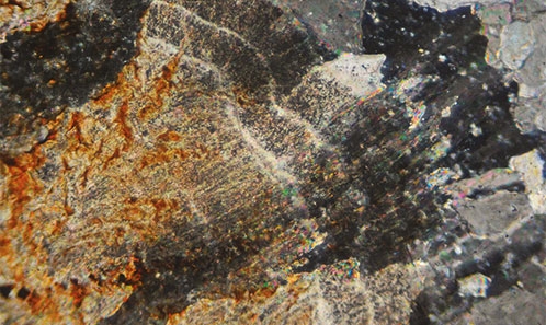 Taphonomie et minéralisation de bois carbonatisés du Purbeckien de l’Usine, à Cherves-Richemont (Charente)