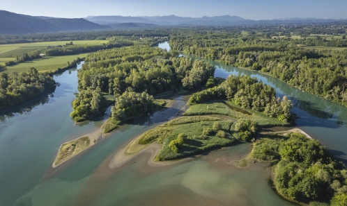 Étude des dynamiques végétales des hydrosystèmes du Haut-Rhône au cours des quarante dernières années par analyse comparative de cartographies de végétation