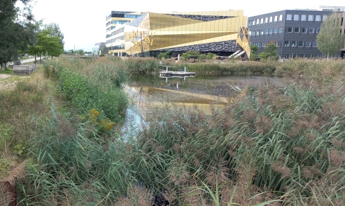 Monitorage de la biodiversité urbaine par l’établissement d’un bilan évolutif du capital naturel existant dans les projets