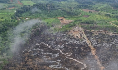 Panorama des menaces pesant sur la faune et la flore des territoires français d’outre-mer : un éclairage à partir de la Liste rouge nationale