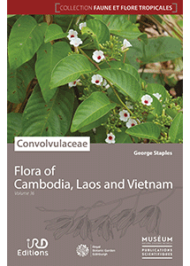 Convolvulaceae