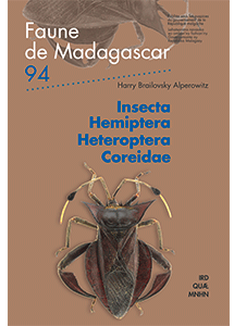 Insecta, Hemiptera, Heteroptera, Coreidae