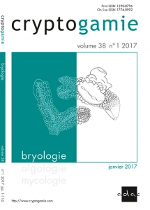 bryo38/1