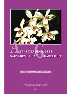 Atlas des orchidées sauvages de la Guadeloupe