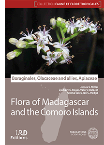 Boraginales, Olacaceae and allies, Apiaceae