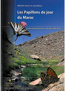 Les papillons de jour du Maroc