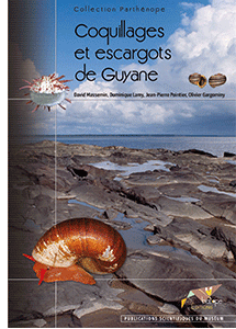 Coquillages et escargots de Guyane