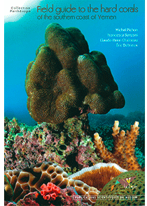 Field guide to the hard corals of the southern coast of yemen