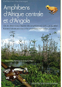 Amphibiens d’Afrique centrale et d’Angola