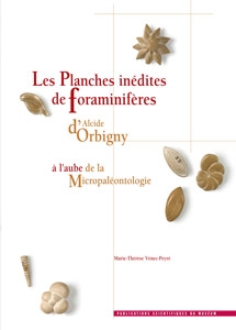 Les Planches inédites de Foraminifères d'Alcide d'Orbigny