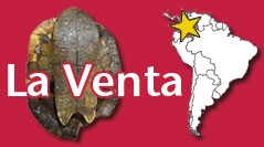 geodiversitas-2023-45-2-la-venta